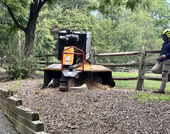 Tree Clearing Service Provided by Bunker Hill Tree Service.