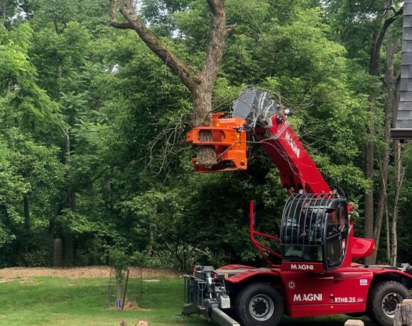 A red machine is trimming a tree.