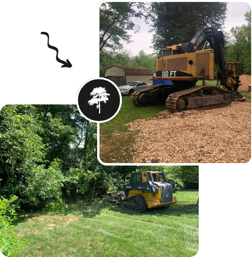 Bulldozer parked beside a large tree, showcasing construction equipment in a natural setting.