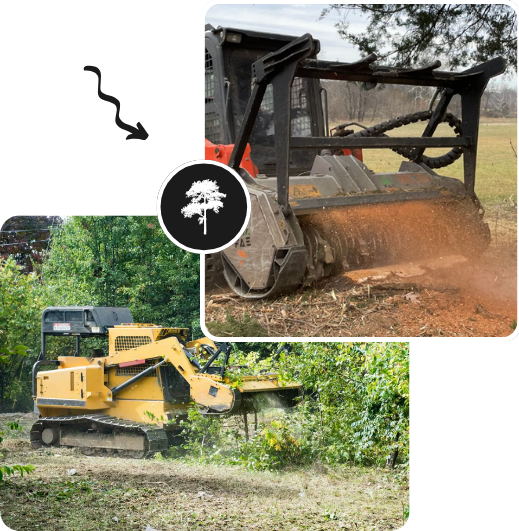 A tractor and bulldozer are cutting down a tree in a forested area in New Jersey.