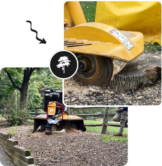 A tractor cutting down a stump in a forested area, with fallen branches scattered around the base.