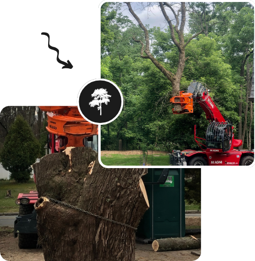 Tree removal in New Jersey, showcasing a worker cutting down a large tree with safety gear and equipment in a residential area.