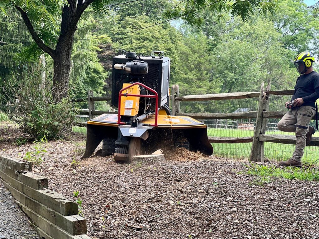 A tractor cutting down a stump in a forested area in New Jersey, with fallen branches scattered around the base.