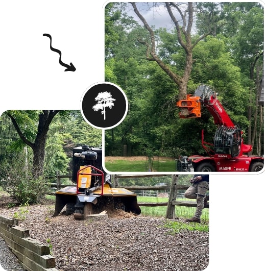 Vehicles are cutting down trees in New Jersey.