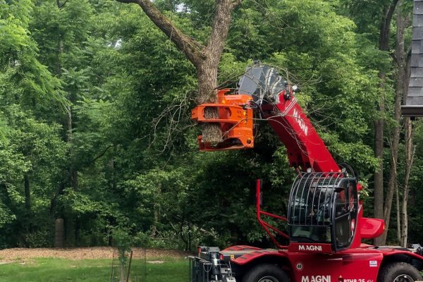 A red machine is trimming a tree.