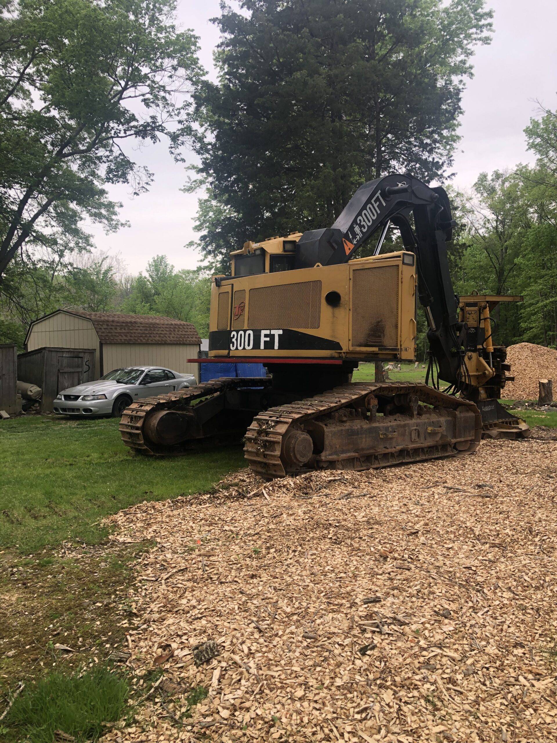 A yellow vehicle is clearing brush from the ground.