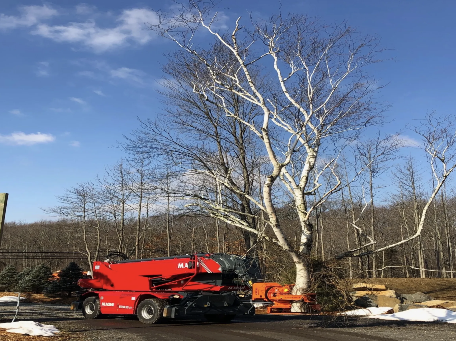 A red vehicle is cutting down a tree on the roadside.
