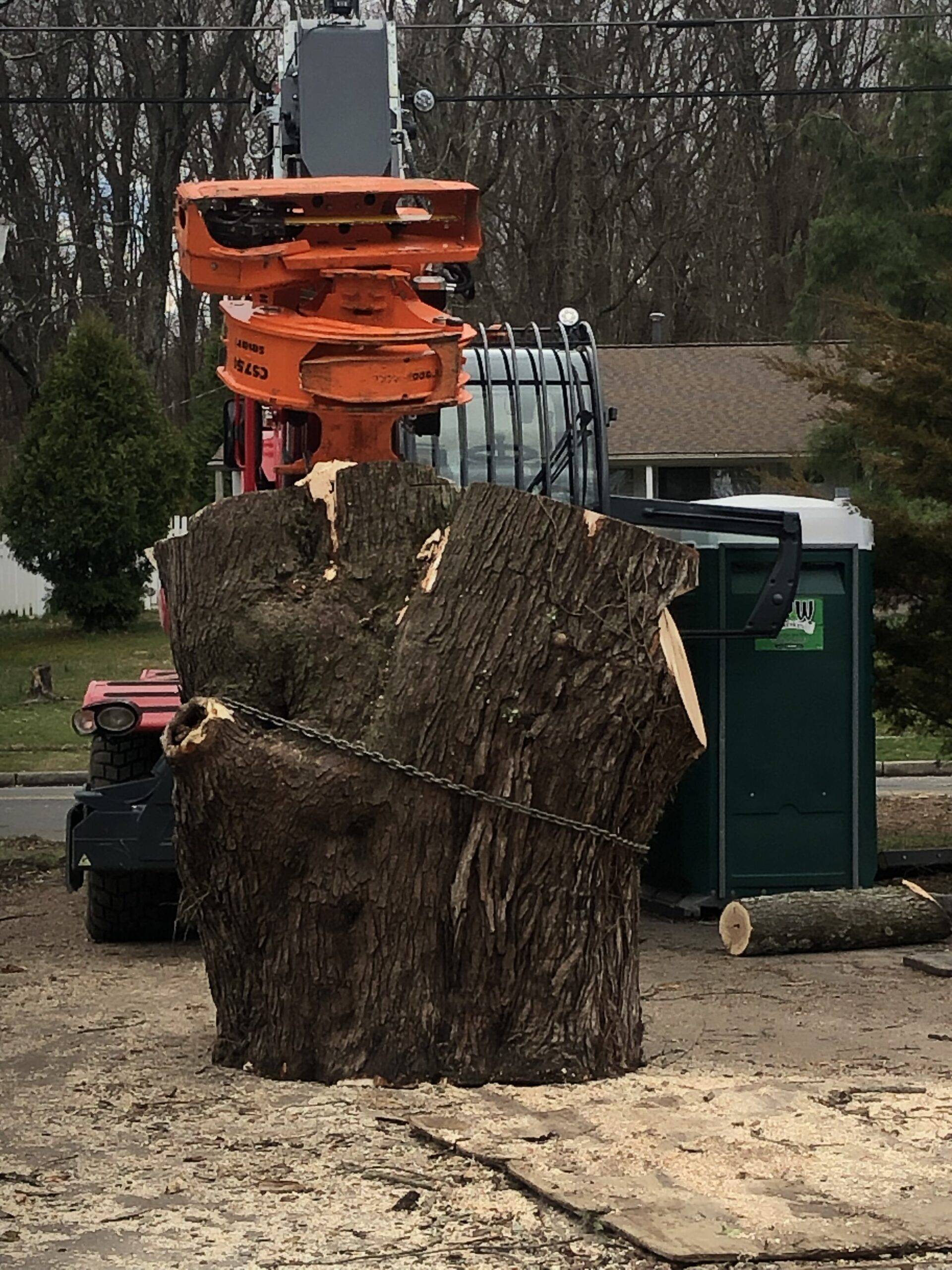 A red vehicle is grinding the stump of a tree.